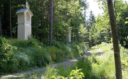 Sedmiradostná cesta